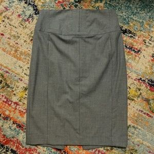 Express Pencil Skirt